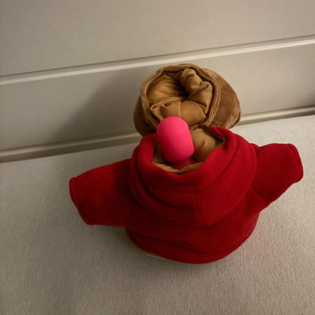 Desire17 Bear + Mini Wand — More Than Just a Cuddle. 🧸