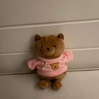 A Teddy Bear With A Hidden Compartment