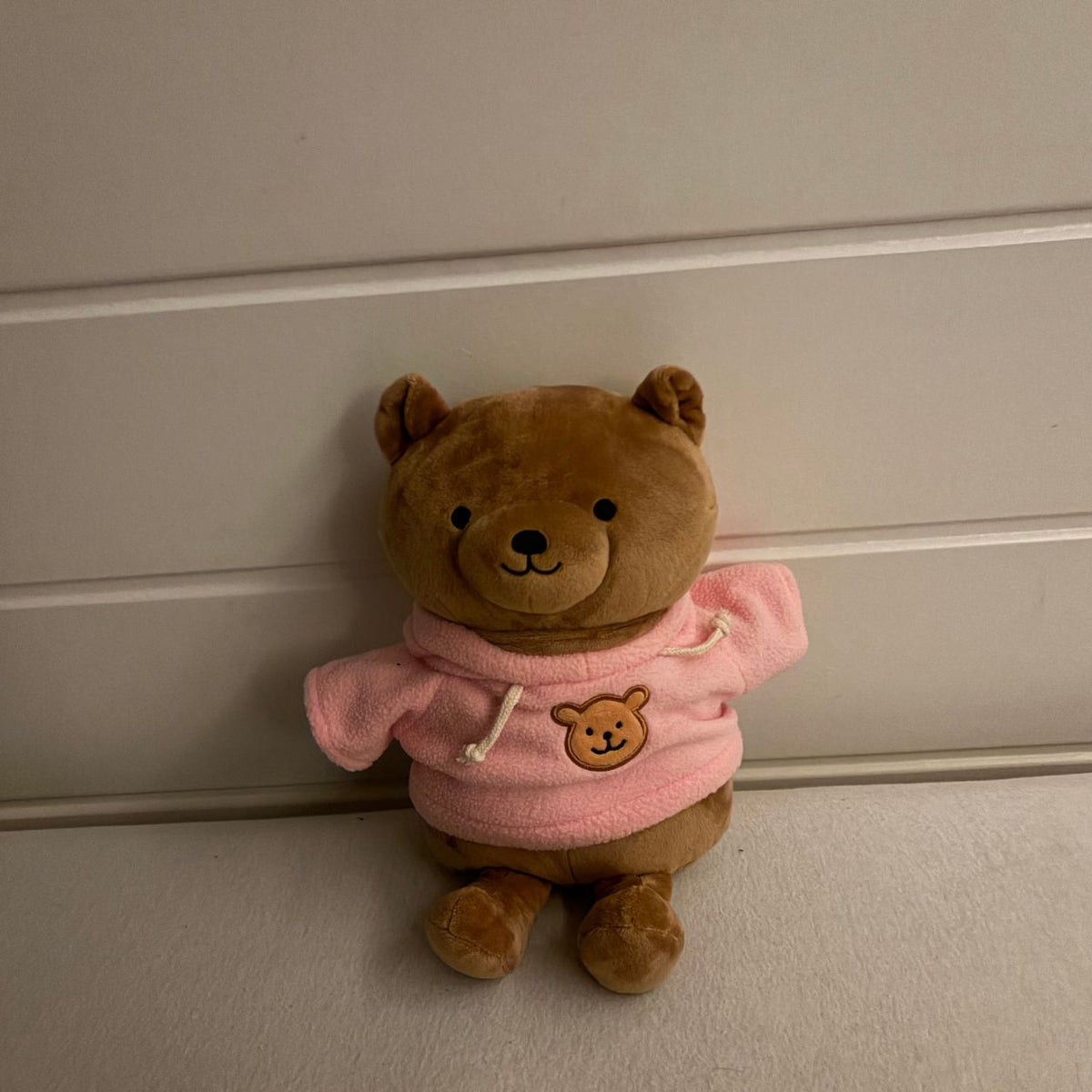A Teddy Bear With A Hidden Compartment