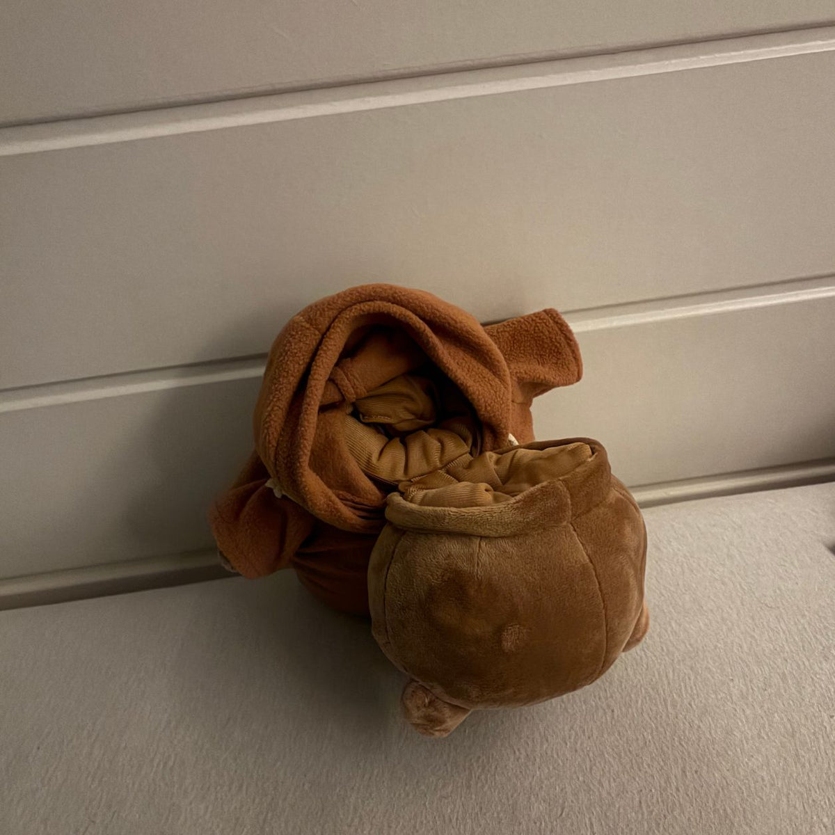 A Teddy Bear With A Hidden Compartment