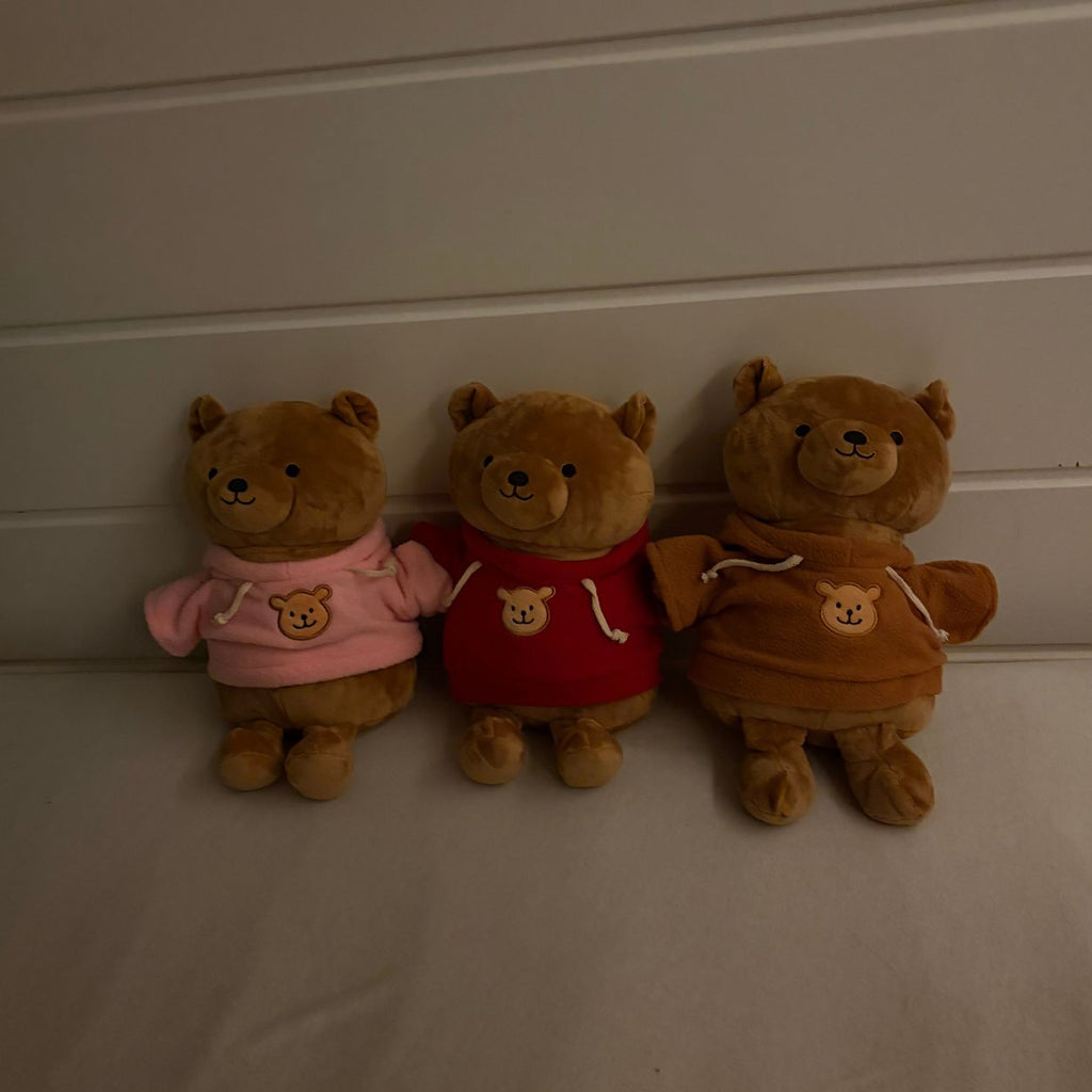 A Teddy Bear With A Hidden Compartment