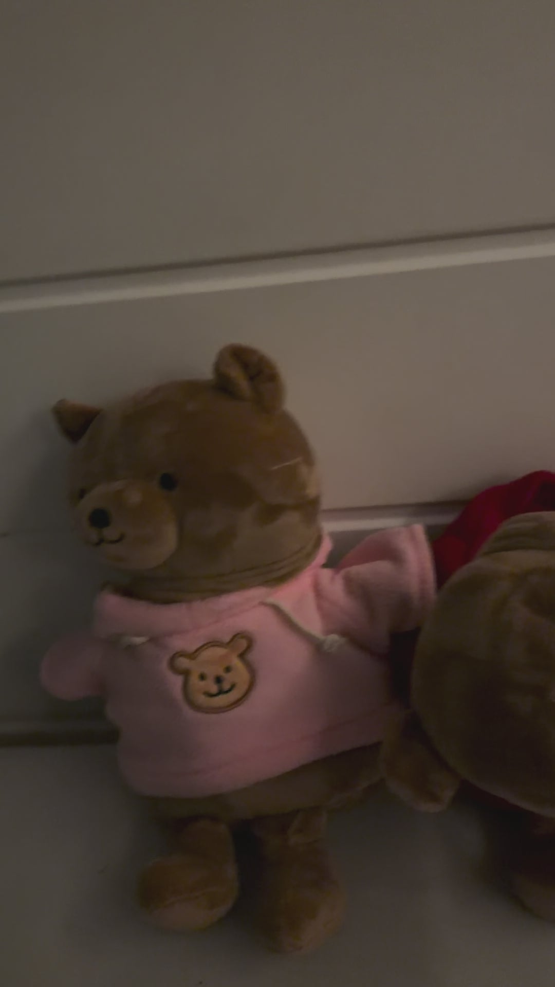 Desire17 Bear + Mini Wand — More Than Just a Cuddle. 🧸